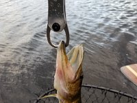 20170418 184148