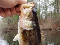 20170422 140548