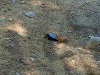 20170607 173521