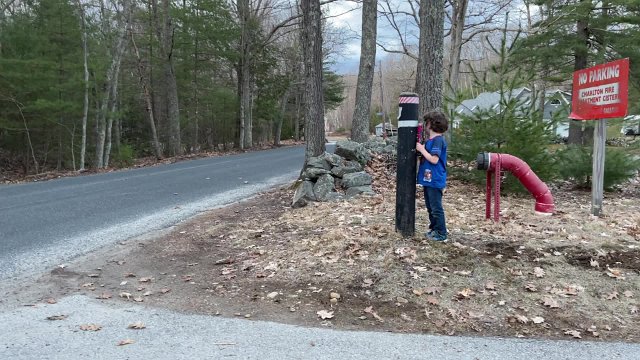 IMG 1368
