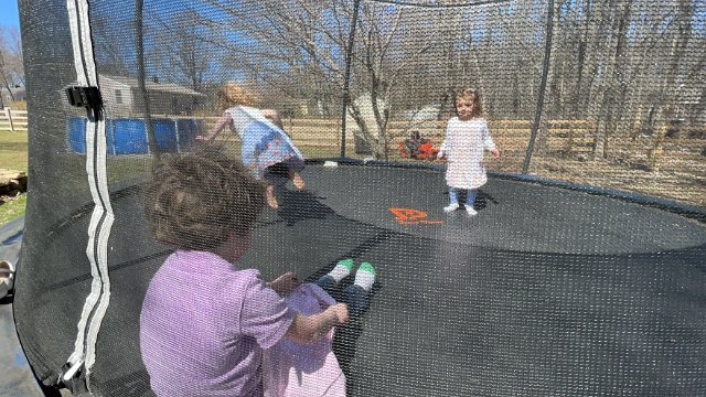 IMG 1467