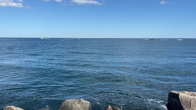 IMG 2414