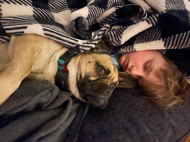 IMG 3927