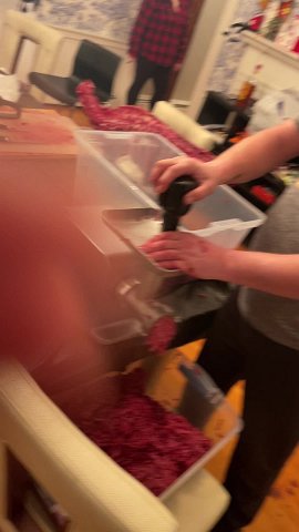 IMG 3987