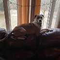 IMG 0651