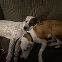 IMG 0678