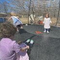 IMG 1467