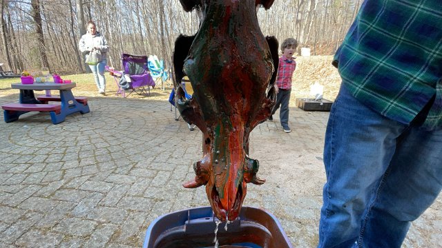 IMG 1519