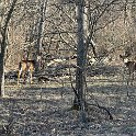 IMG 1253