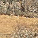 IMG 1254