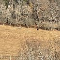 IMG 1255