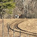 IMG 1258