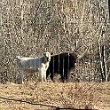 IMG 1261