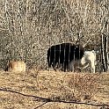 IMG 1264