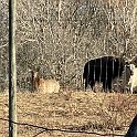 IMG 1265