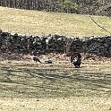 IMG 1530