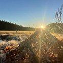 IMG 3581