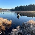 IMG 3582