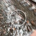 IMG 3938