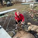 IMG 3947