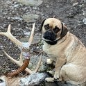 IMG 3953