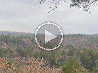 IMG 3628