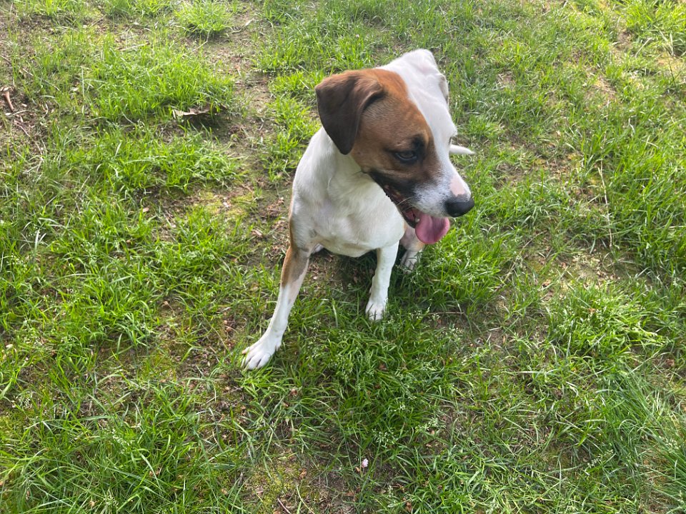 67477437590  3E23B042-6B10-4EF0-B613-E8B1908FF1EE