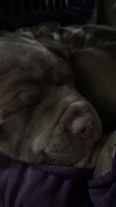 CF3B8035-3027-45E8-A320-60974413EE97