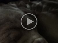 CF3B8035-3027-45E8-A320-60974413EE97