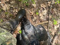 67423545013  13926DA1-02DA-4C5F-B4E7-0B6DAA8A6A9C