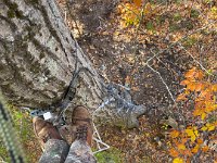 68813687431  C0AEB100-11B7-4A68-8876-0A9404FC4ED7