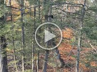 68868227325  6E4EAA32-A88D-4EDF-937D-2438C27D1F02.fullsizerender