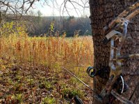 68902829934  C0AED52A-B4D7-4587-92D8-8FF2EB2B518B