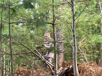 68935027509  F03FD9F4-D4E4-41D0-AC5B-23C689EFA3C5