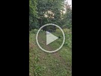 nicholasridingatvinyard