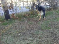 1201111516