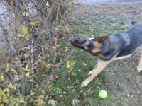 1201111523