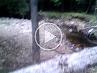 20130728 084442