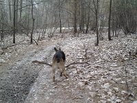 20140203 095956