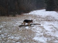20140203 102035