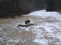 20140203 102038