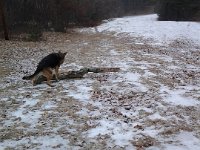 20140203 102117
