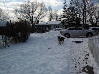 20140210 104249