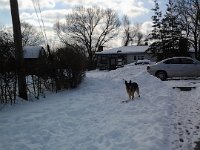 20140210 104304