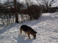 20140210 104716
