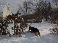 20140210 104734