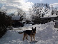 20140210 104810