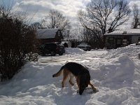 20140210 104814