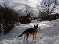 20140210 104830