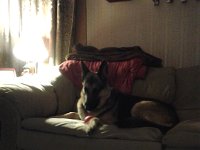 FB IMG 13883568241914481
